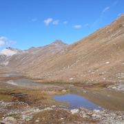 Bild Val da Fain - Berninapass - Val Minor 8 