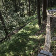 Bild TREK Runcatrail 2014 4 Bild TREK Runcatrail 2014 4