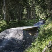 Bild TREK Runcatrail 2014 5 Bild TREK Runcatrail 2014 5