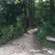 Bild Olten-Trails 0 