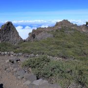 Bild LP 9 – Vom Kraterrand nach Santo Domingo (La Palma) 9 