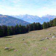 Bild Grimentz - Pas de Lona - Sierre 24 