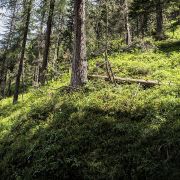 Bild Der längste Trail der Schweiz 3 