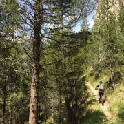 Bild Crap Furò - der geografische Mittelpunkt Graubündens 8 