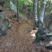 Bild Mt.Tamaro - Mt. Bar Enduro-Marathon 3 