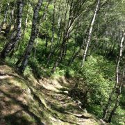 Bild Mt.Tamaro - Mt. Bar Enduro-Marathon 4 