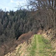 Bild Mon - Stierva Endurotour 6 