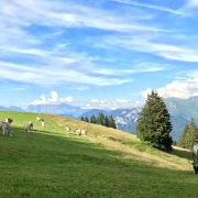 Bild Spundisköpfe Endurotour 0 