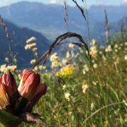 Bild Spundisköpfe Endurotour 2 