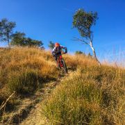 Bild Camorino - Mattro 6 