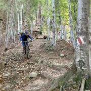 Bild Camorino - Mattro 9 