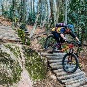 Bild Arbostora Trailtour 4 