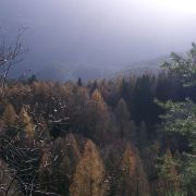 Bild Felsberg - Tamins 13 
