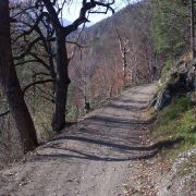 Bild Felsberg - Tamins 14 