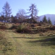Bild Felsberg - Tamins 15 