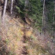 Bild Felsberg - Tamins 17 