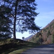 Bild Felsberg - Tamins 7 