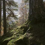 Bild Felsberg - Tamins 8 