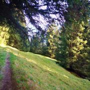und noch mehr Trail