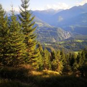 Panorama Blickrichtung Safiental