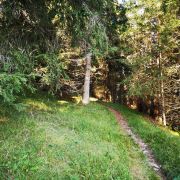 Singletrail