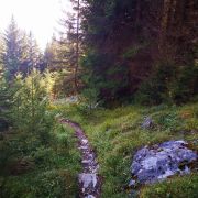 und noch ein Trail