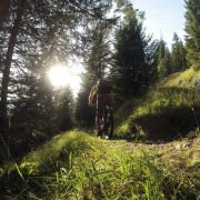 Trailabschnitt Richtung Lawinenverbauungen 
