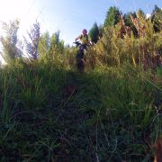 Suche nach dem Trail