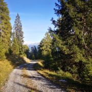 Uphill alt bekannte Alp-Mora Strecke