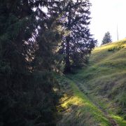 Trail-Trail-Trail