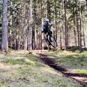 Bild Churer Trailvergnügen  4 