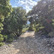 Bild Cala Gonone – Passo Littu – Dorgali – Cala Fùili 0 Bild Cala Gonone – Passo Littu – Dorgali – Cala Fùili 0