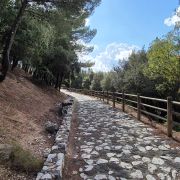 Bild Cala Gonone – Passo Littu – Dorgali – Cala Fùili 5 Bild Cala Gonone – Passo Littu – Dorgali – Cala Fùili 5