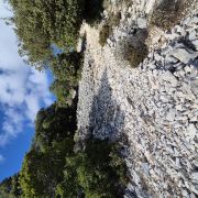 Bild Cala Gonone – Passo Littu – Dorgali – Cala Fùili 16 Bild Cala Gonone – Passo Littu – Dorgali – Cala Fùili 16