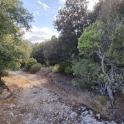 Bild Cala Gonone – Passo Littu – Dorgali – Cala Fùili 17 Bild Cala Gonone – Passo Littu – Dorgali – Cala Fùili 17