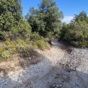Bild Cala Gonone – Passo Littu – Dorgali – Cala Fùili 18 Bild Cala Gonone – Passo Littu – Dorgali – Cala Fùili 18