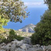 Bild Cala Gonone – Passo Littu – Dorgali – Cala Fùili 1 Bild Cala Gonone – Passo Littu – Dorgali – Cala Fùili 1