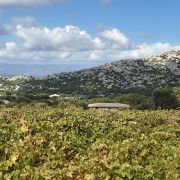 Bild Cala Gonone – Passo Littu – Dorgali – Cala Fùili 4 Bild Cala Gonone – Passo Littu – Dorgali – Cala Fùili 4