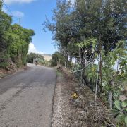 Bild Cala Gonone – Passo Littu – Dorgali – Cala Fùili 9 Bild Cala Gonone – Passo Littu – Dorgali – Cala Fùili 9