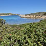 Bild Maddalena - Caprera (Sardinien) 2 Bild Maddalena - Caprera (Sardinien) 2
