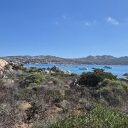 Bild Maddalena - Caprera (Sardinien) 3 Bild Maddalena - Caprera (Sardinien) 3