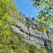 Blick hinauf zum Heidenkopf