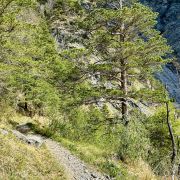 Mozentobel-Trail