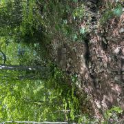 Bild Grenchenberg 2 