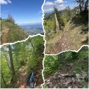 Bild Grenchenberg 5 
