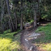 Bild Nagens Trail 2 