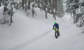 Themenbild E-Fatbike-Spass - Davos