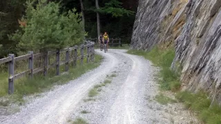 Bild Odiswald - Bärenhag