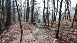 Bild Fläscherberg - Vorder Ochsenberg