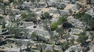 Coll de l'Ofre (Mallorca) Bild Coll de l'Ofre (Mallorca)